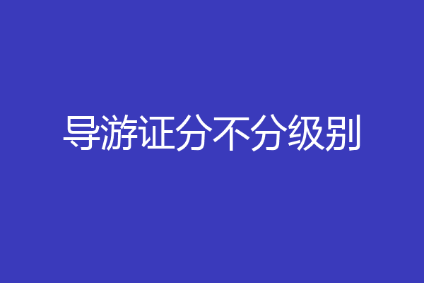 导游证分不分级别