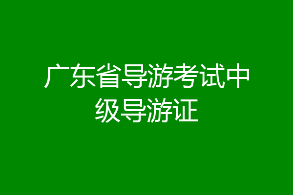 广东省导游考试中级导游证