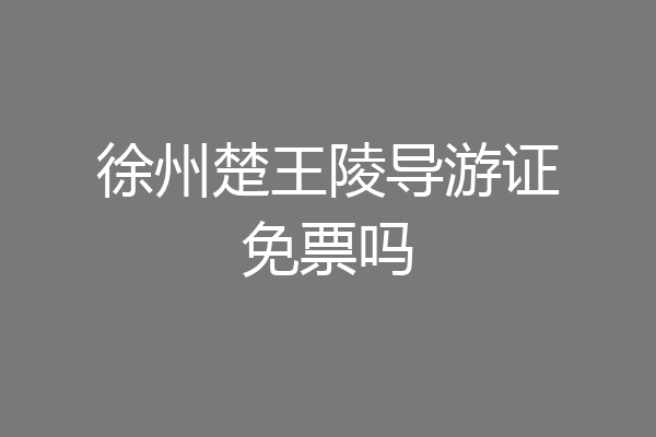 徐州楚王陵导游证免票吗