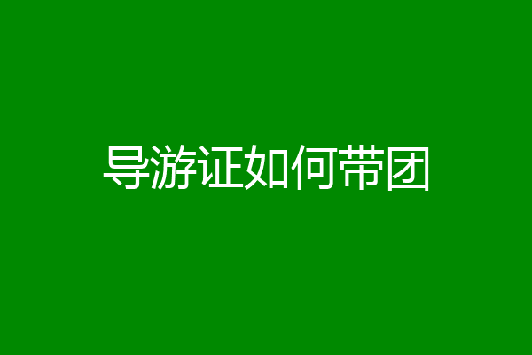 导游证如何带团