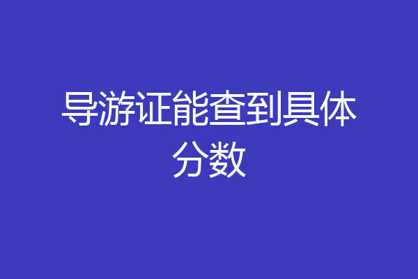 导游证能查到具体分数