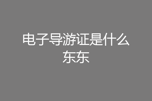 电子导游证是什么东东