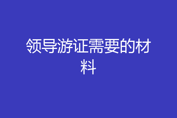 领导游证需要的材料