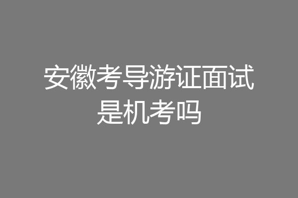 安徽考导游证面试是机考吗