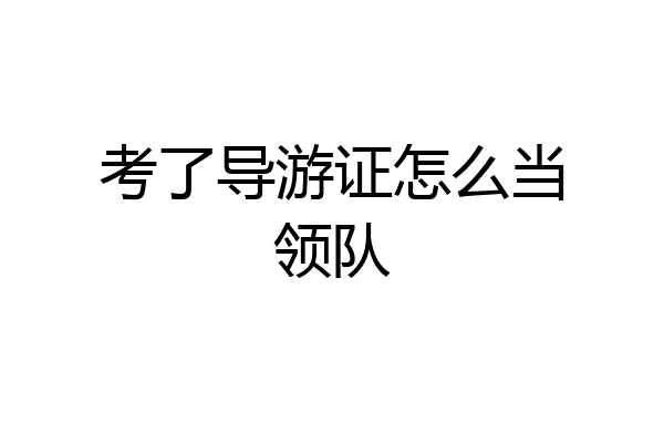 考了导游证怎么当领队