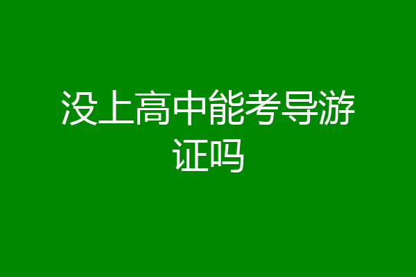 没上高中能考导游证吗
