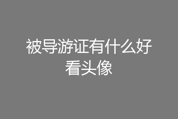 被导游证有什么好看头像
