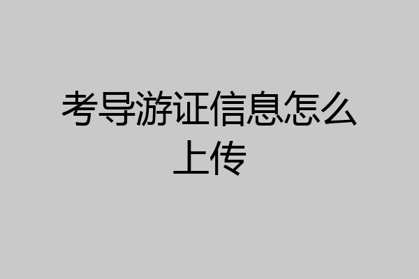 考导游证信息怎么上传