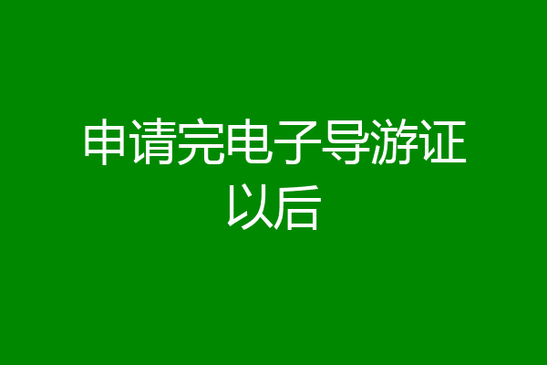 申请完电子导游证以后
