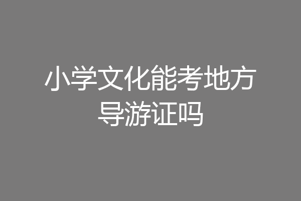 小学文化能考地方导游证吗