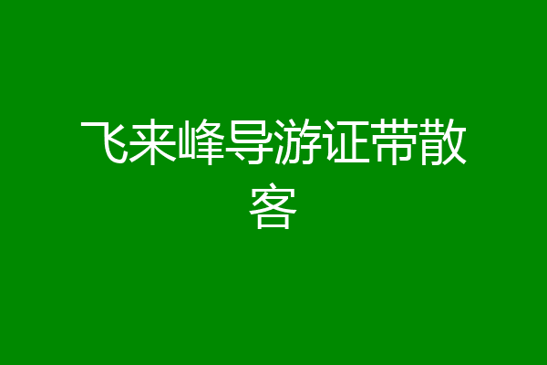 飞来峰导游证带散客