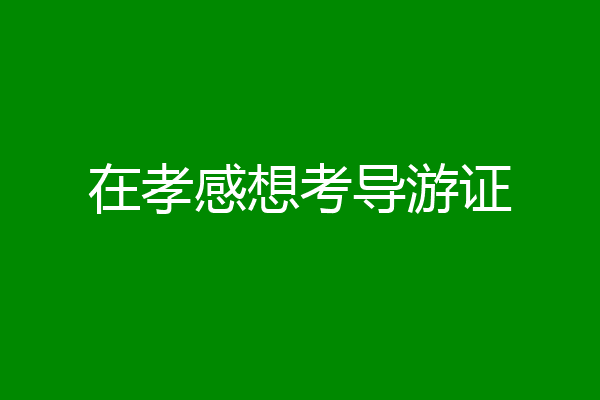在孝感想考导游证