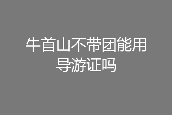 牛首山不带团能用导游证吗
