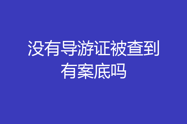 没有导游证被查到有案底吗