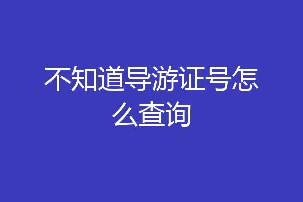 不知道导游证号怎么查询