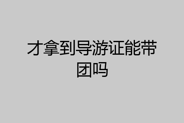 才拿到导游证能带团吗