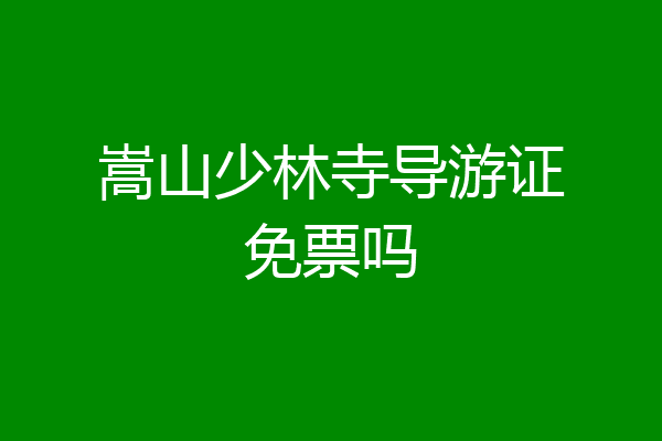 嵩山少林寺导游证免票吗