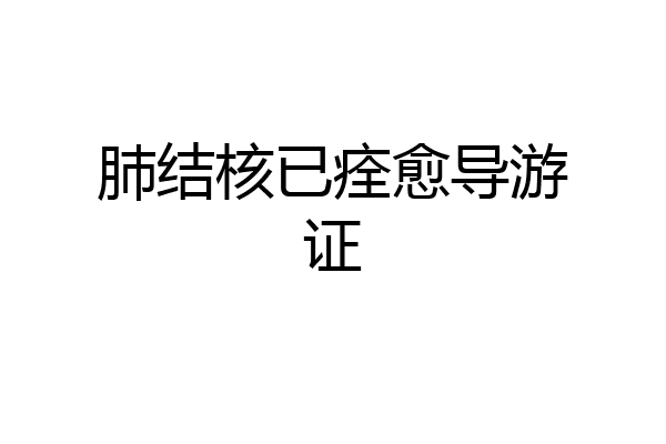 肺结核已痊愈导游证