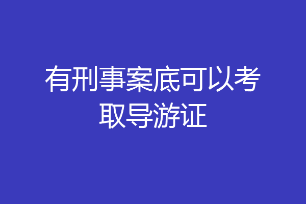 有刑事案底可以考取导游证