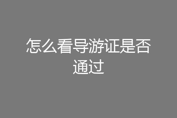 怎么看导游证是否通过