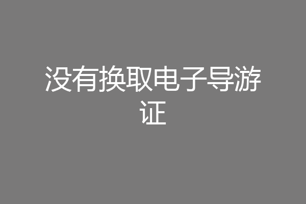 没有换取电子导游证