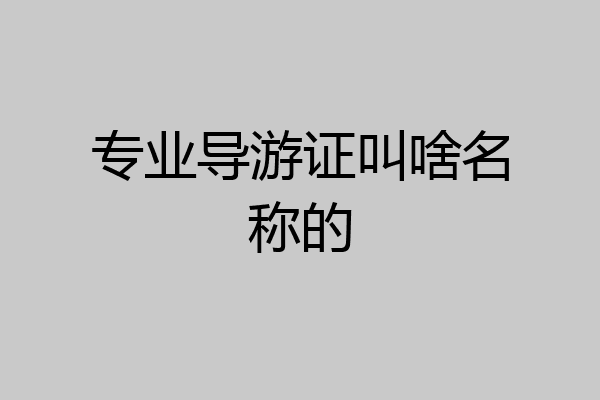 专业导游证叫啥名称的