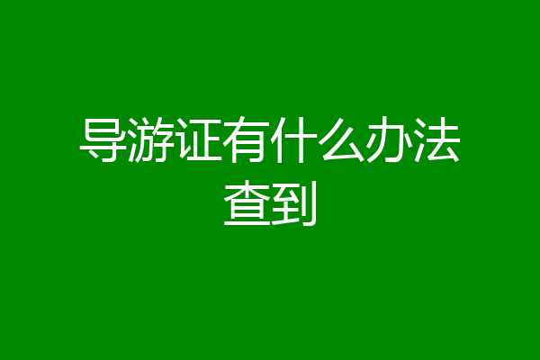 导游证有什么办法查到