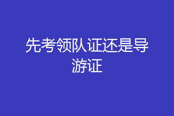 先考领队证还是导游证