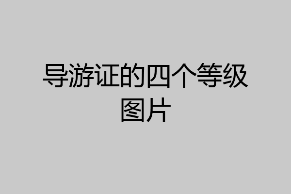导游证的四个等级图片