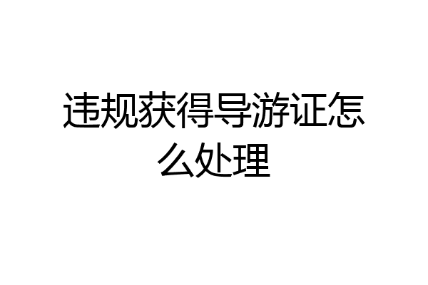 违规获得导游证怎么处理