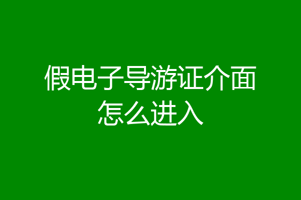 假电子导游证介面怎么进入