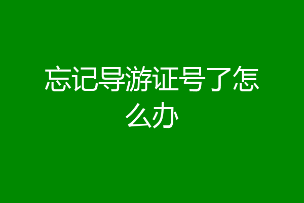 忘记导游证号了怎么办