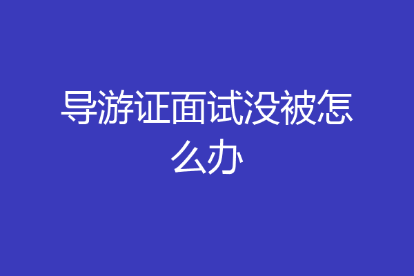 导游证面试没被怎么办