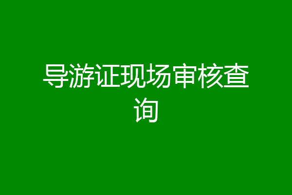 导游证现场审核查询