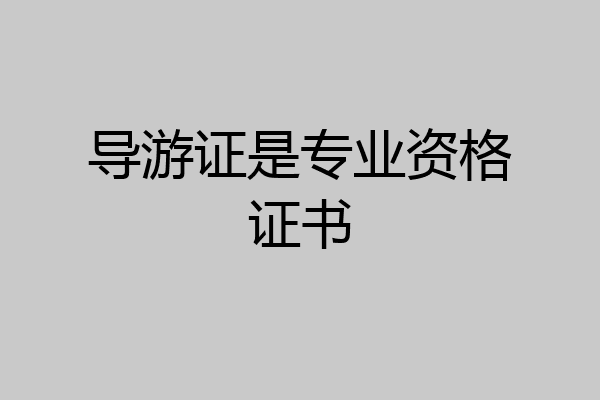 导游证是专业资格证书