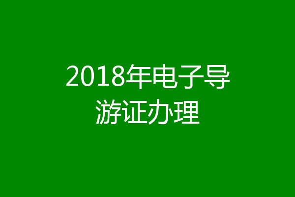 2018年电子导游证办理