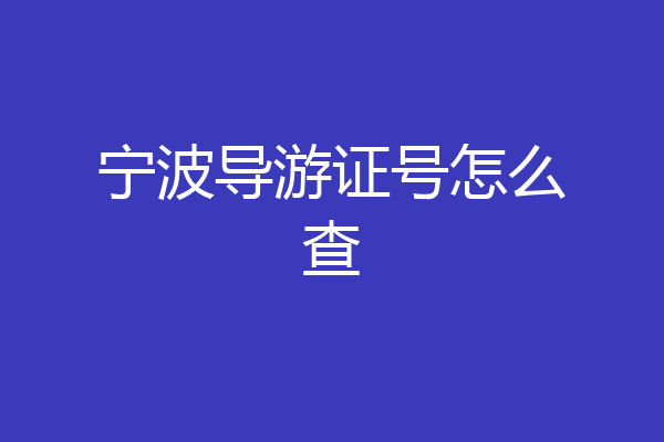 宁波导游证号怎么查