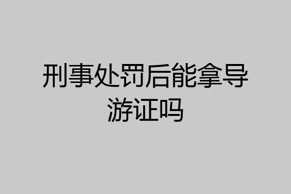 刑事处罚后能拿导游证吗