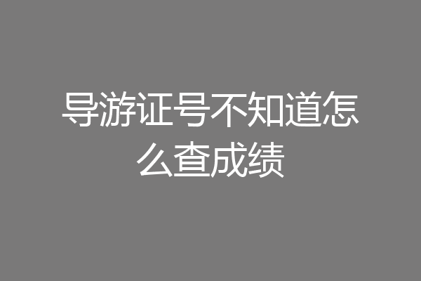 导游证号不知道怎么查成绩