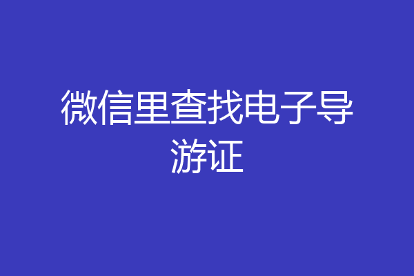 微信里查找电子导游证
