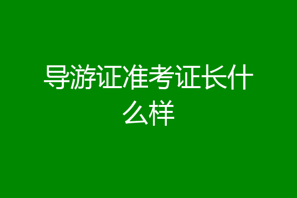 导游证准考证长什么样