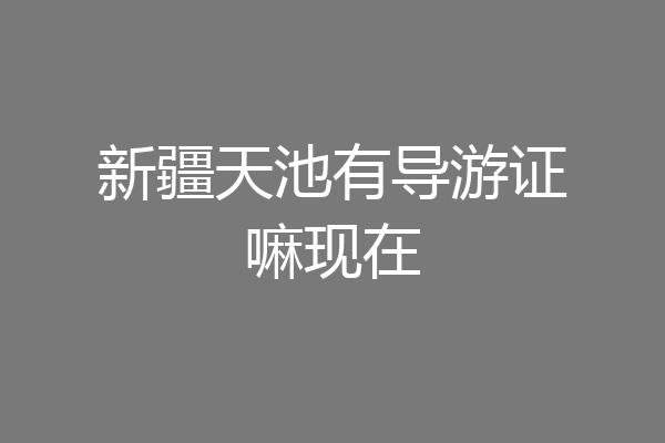 新疆天池有导游证嘛现在