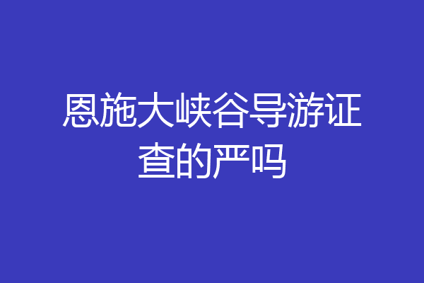 恩施大峡谷导游证查的严吗