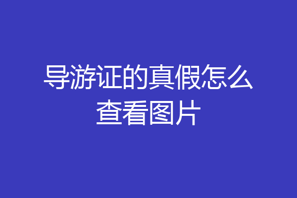 导游证的真假怎么查看图片