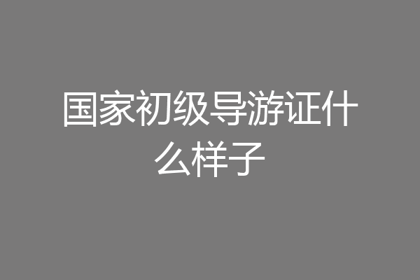 国家初级导游证什么样子