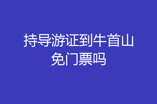 持导游证到牛首山免门票吗