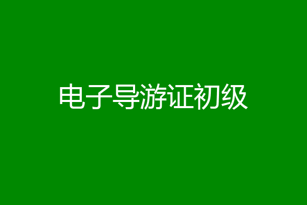 电子导游证初级