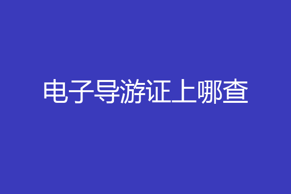 电子导游证上哪查