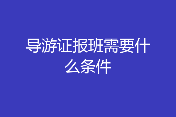 导游证报班需要什么条件