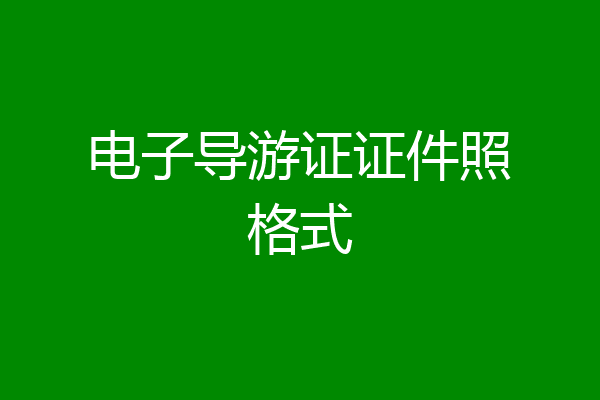 电子导游证证件照格式